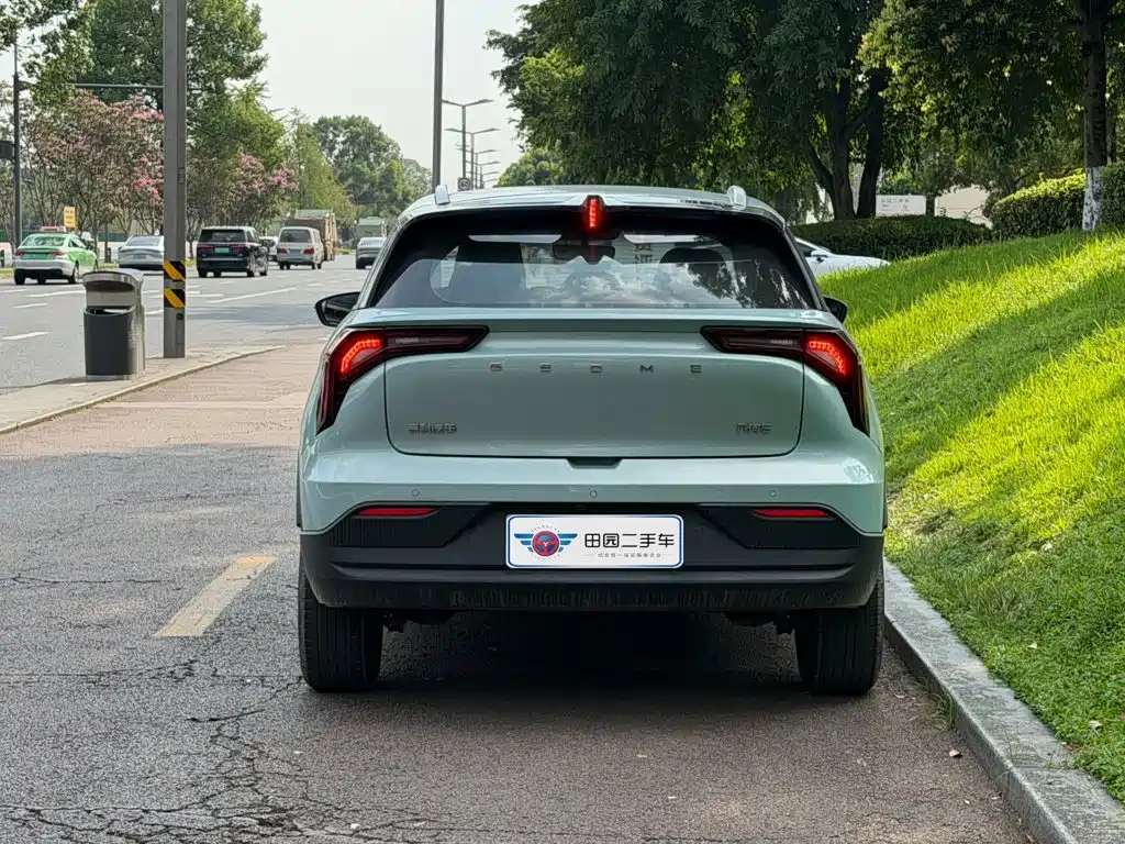Geely Geometry E Firefly 2024 2024 Model 401km Fluorescent