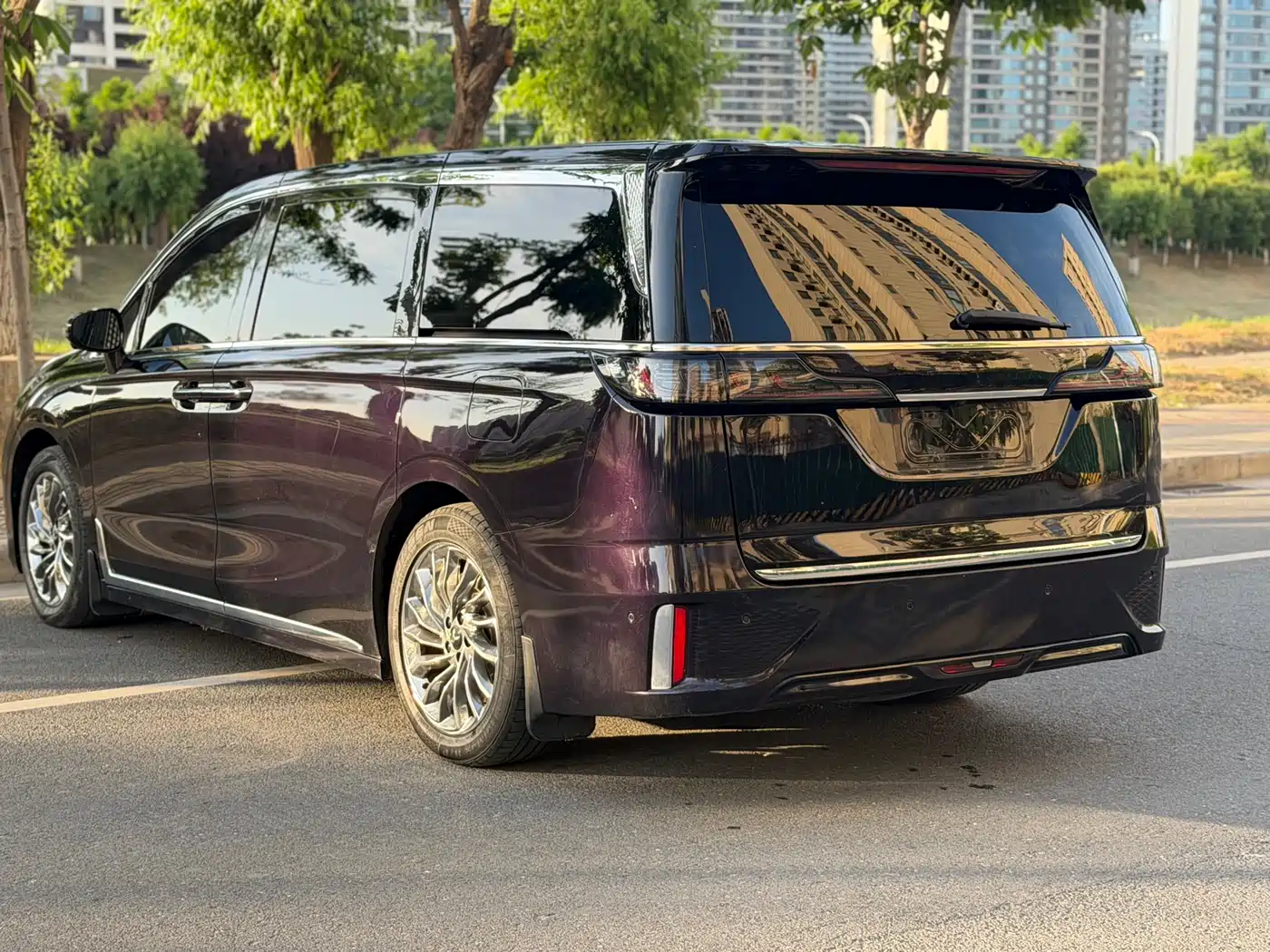 Voyah Auto Voyah Dreamer 2024 PHEV Extended Range Flagship Edition фото 9