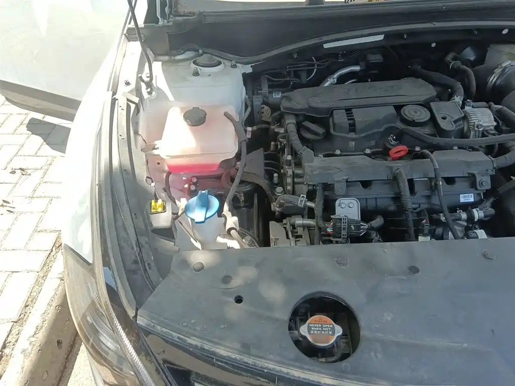 Kia Sportage 2023 1.5T 2WD Premium Edition фото 21