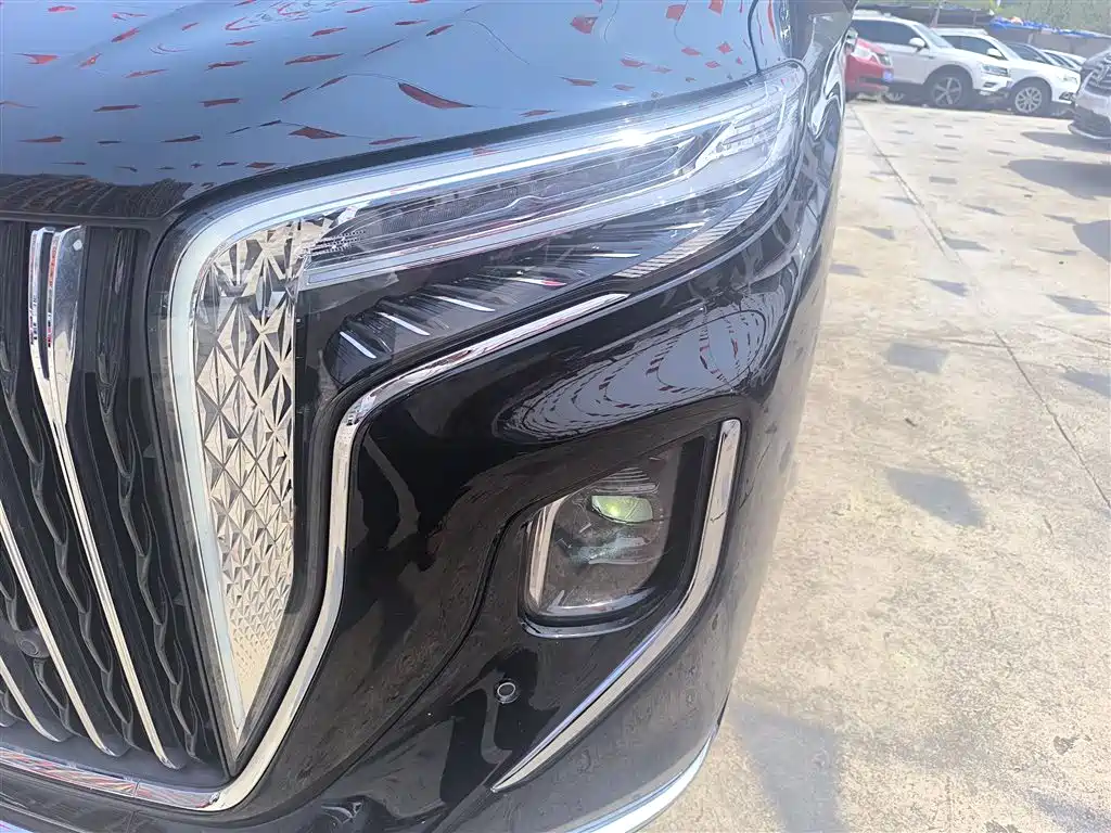 Hongqi HQ9 PHEV 2024 Model 2.0T AWD Business Edition фото 24