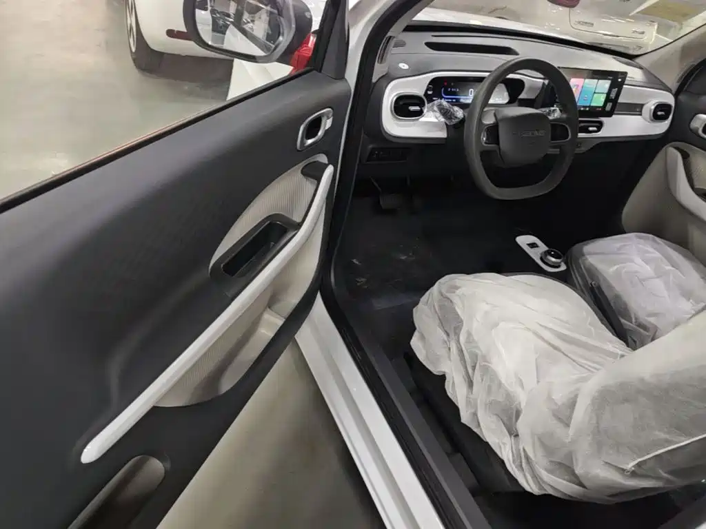 Geely Galaxy Panda 2026 2025 Panda mini 210km Vitality Bear