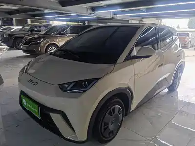 BYD Seagull