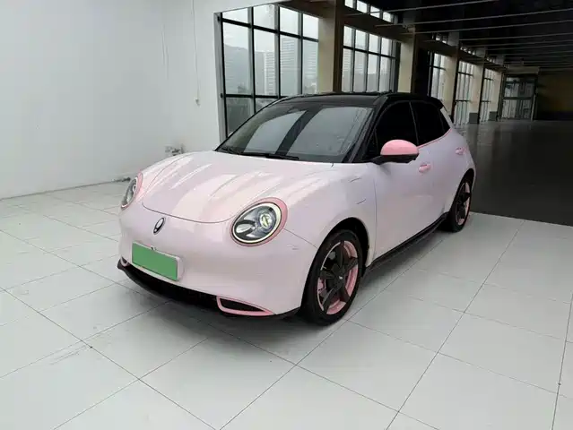  Ora Ora Good Cat 2021 400km Standard Range Venus Edition (NCM)