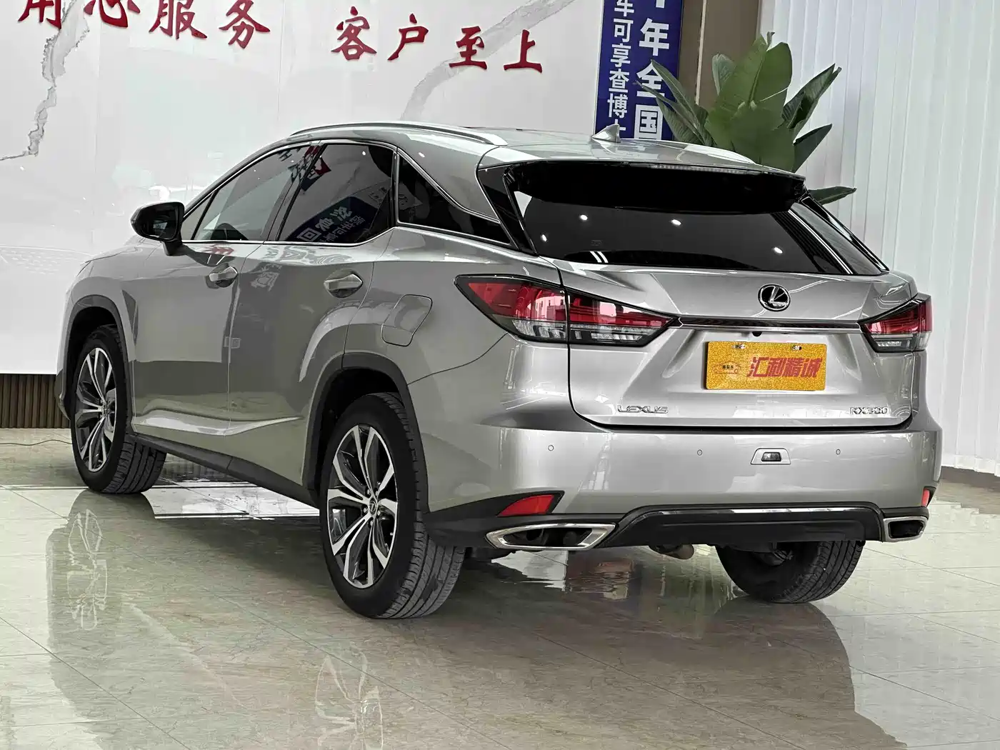 Lexus RX 2021 300 AWD Special Edition фото 18