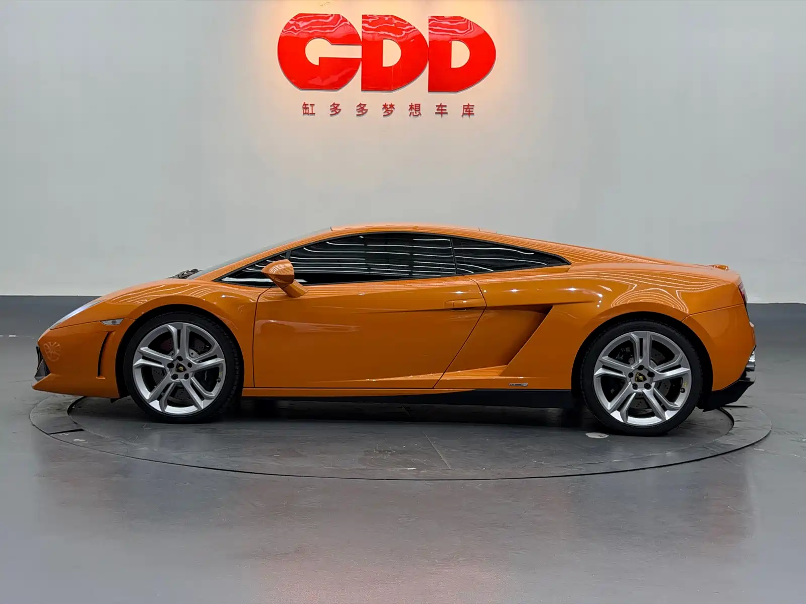 صورة 10 - Lamborghini Gallardo
