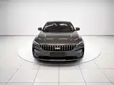 Фото 3 - Geely Binrui