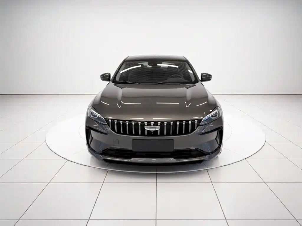 Фото 3 - Geely Binrui