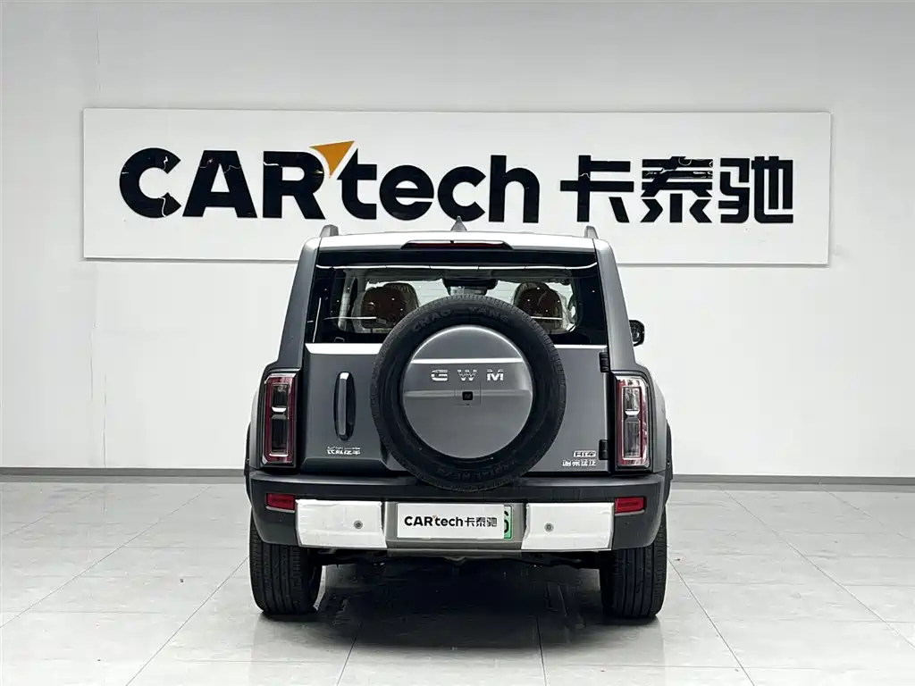 HAVAL RAPTORS NEW ENERGY