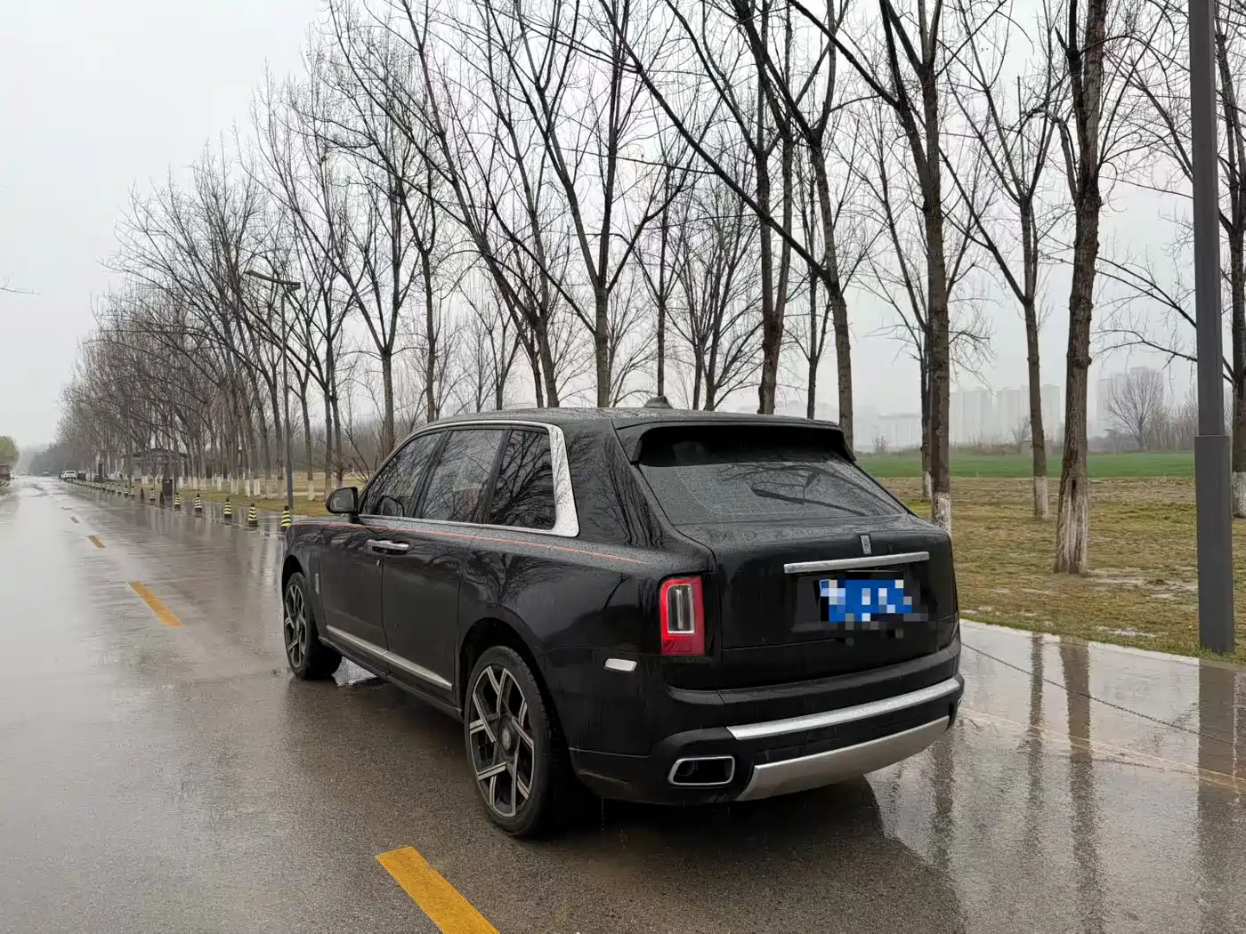 Rolls-Royce Cullinan 2018 5-Seater Version фото 6