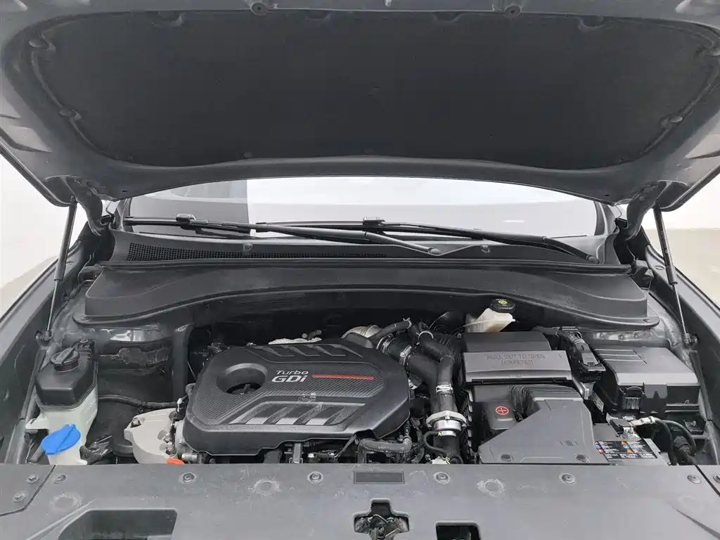 Hyundai Santa Fe 2020 380 TGDi Auto 2WD DLX Premium PLUS фото 6