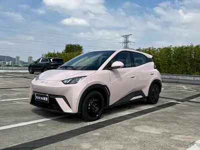 BYD Seagull