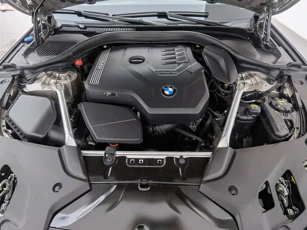 BMW 5 Series 2021 530Li Leading Luxury Package фото 6
