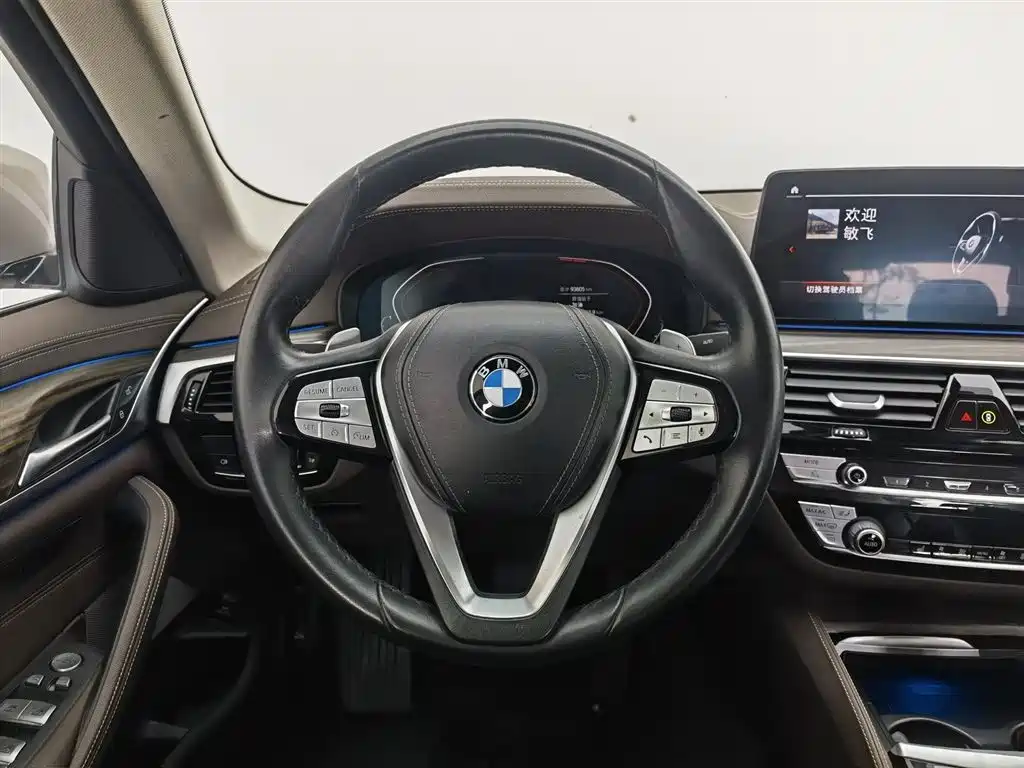 BMW 5 Series 2021 530Li Leading Luxury Package фото 11
