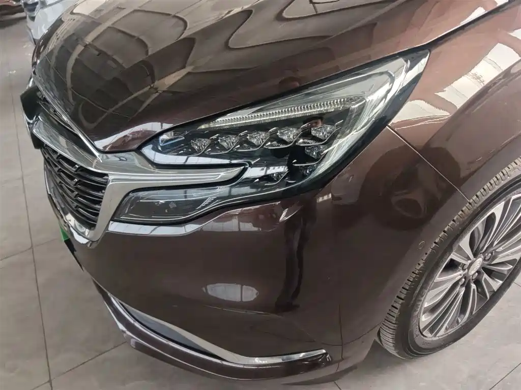 Buick GL8 2021 ES Landlord 653T Luxury фото 15