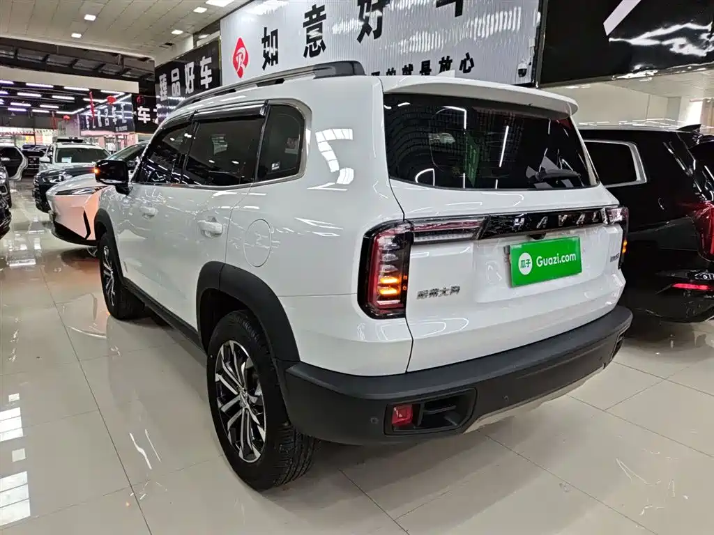 Haval Big Dog 2022 1.5T DCT FWD Border Collie Edition фото 5