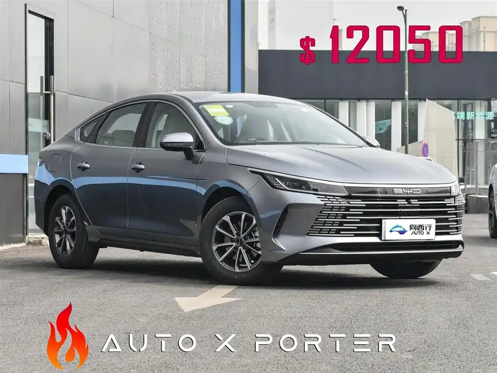 BYD Destroyer 05 2024 Glory Edition DM-i 55KM Luxury фото 3