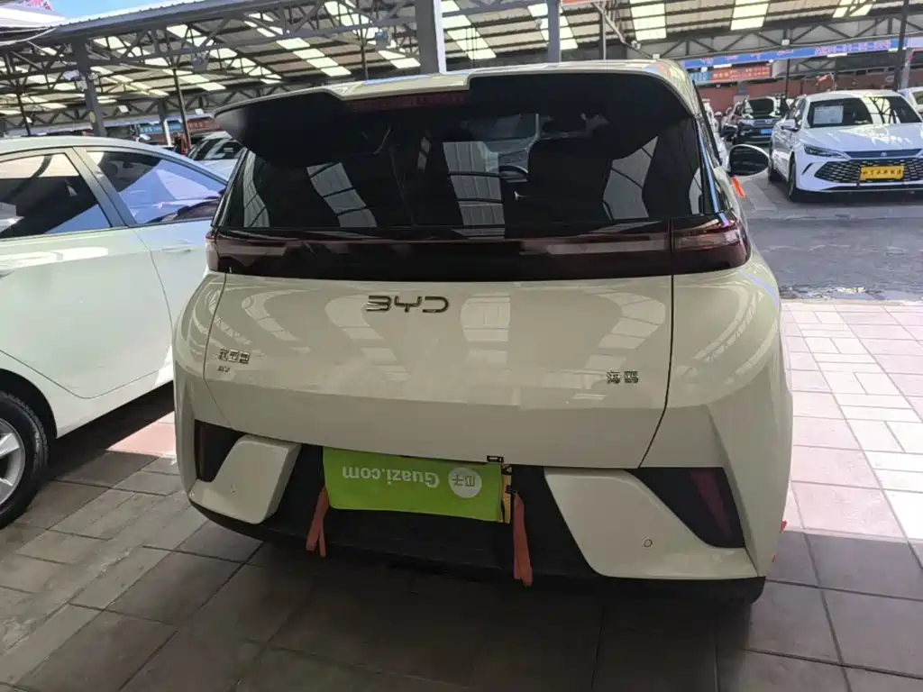 BYD Seagull 2026 2025 Smart Drive Edition 305km Vitality Version