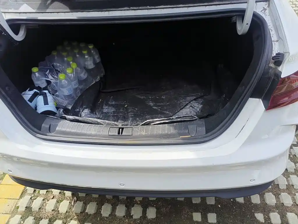 Geely Geometry G6 2024 2024 500KM Premium