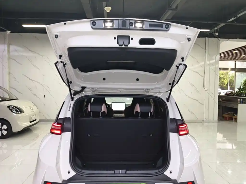 BYD Seagull 2026 2025 Smart Drive Edition 305km Freedom Version