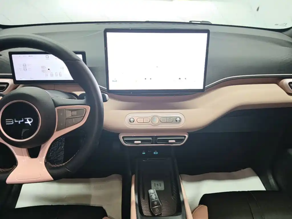 BYD Seagull 2026 2025 Smart Drive Edition 305km Freedom Version