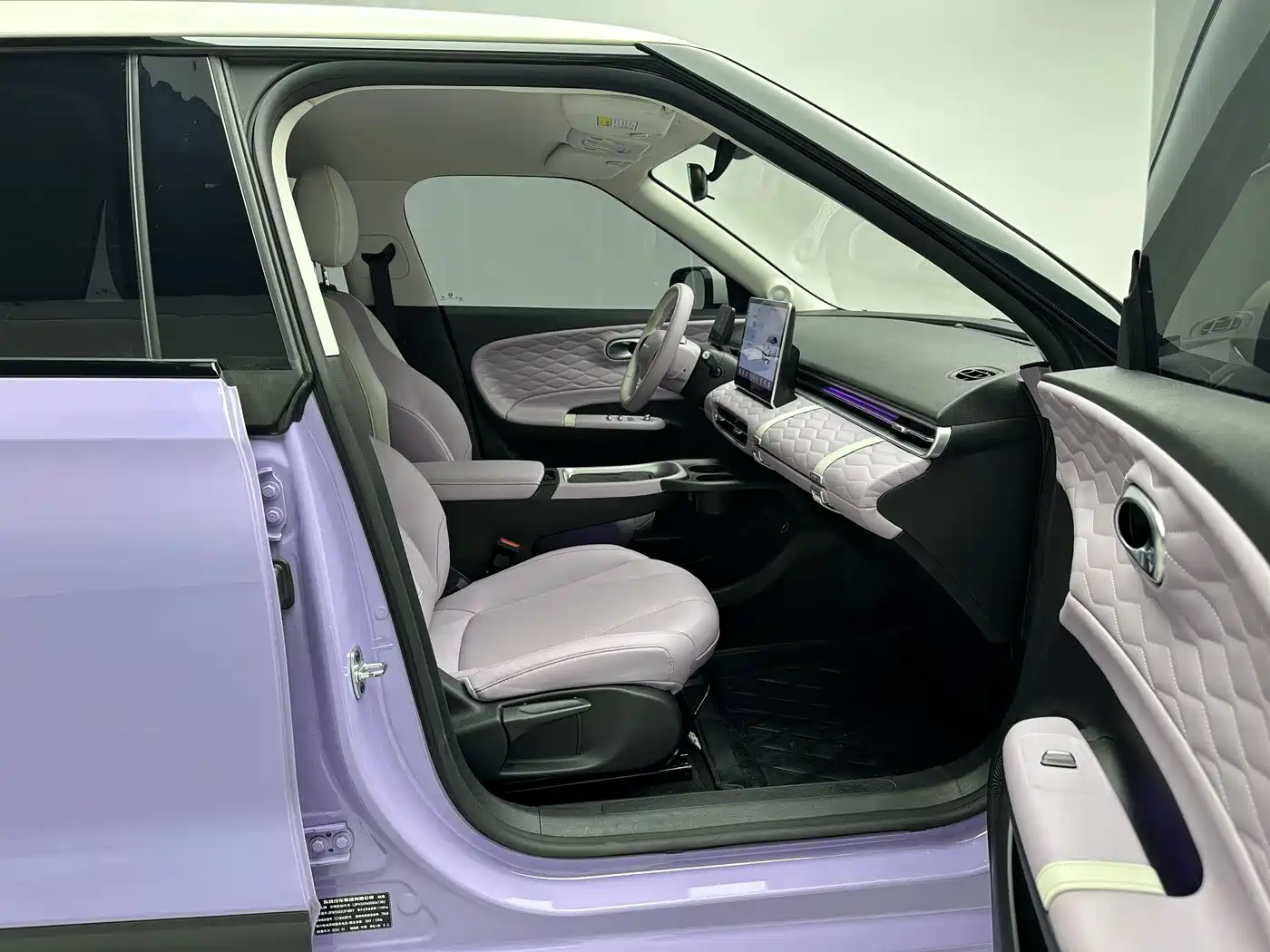 Dongfeng Yipai Nano 01 2025 2024 430 Plus Smart+
