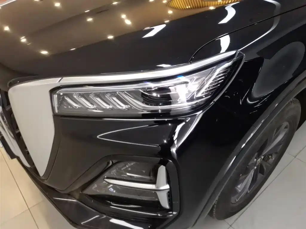 Hongqi HS5 2023 2.0T Flag Enjoy Pro Edition фото 24