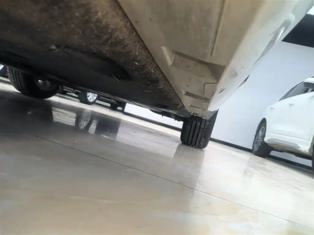 Volkswagen Magotan 2019 330TSI DSG Leading China VI фото 22