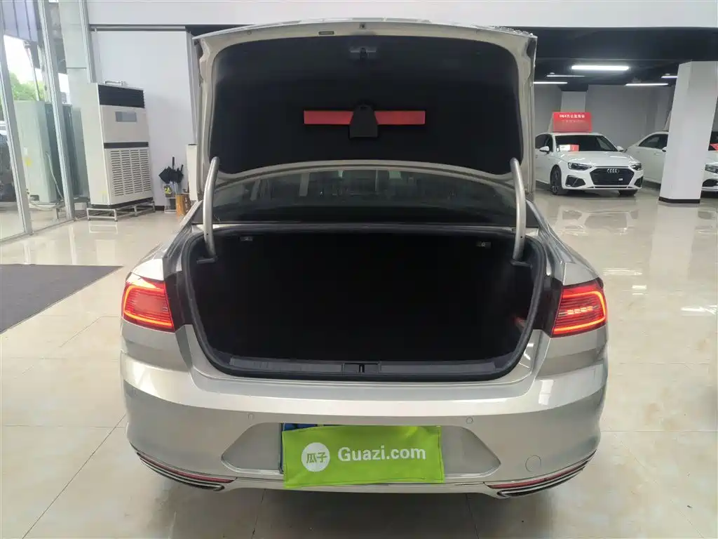 Volkswagen Magotan 2019 330TSI DSG Leading China VI фото 19