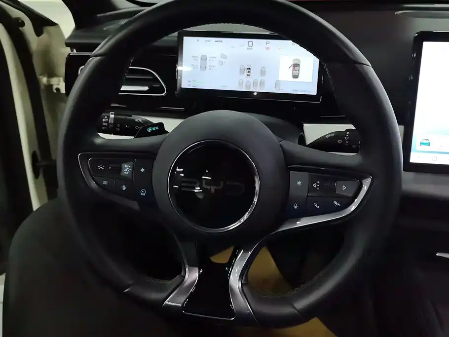 BYD Seal 06 New Energy 2025 DM-i Smart Drive Edition 120KM Luxury фото 15