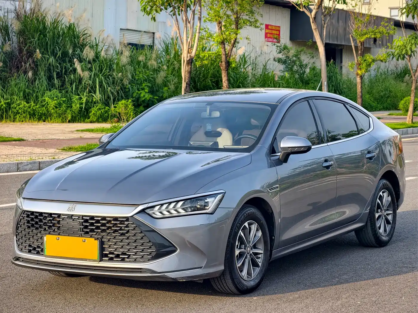BYD Qin PLUS 2024 Glory Edition DM-i 55KM Leading