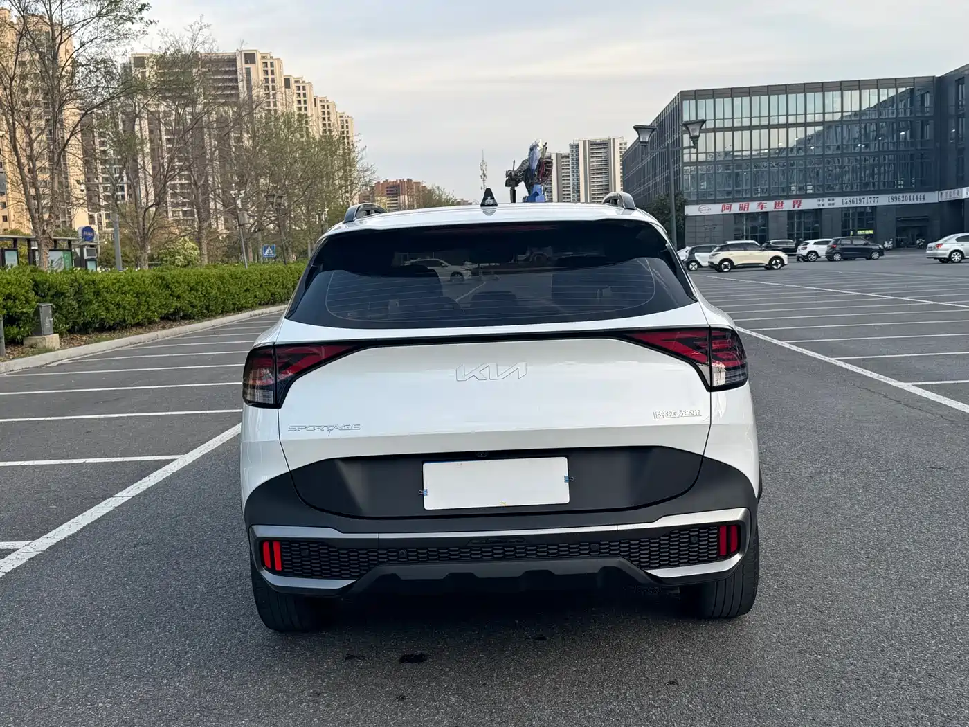 KIA LION PLATINUM EXPANDS THE WORLD