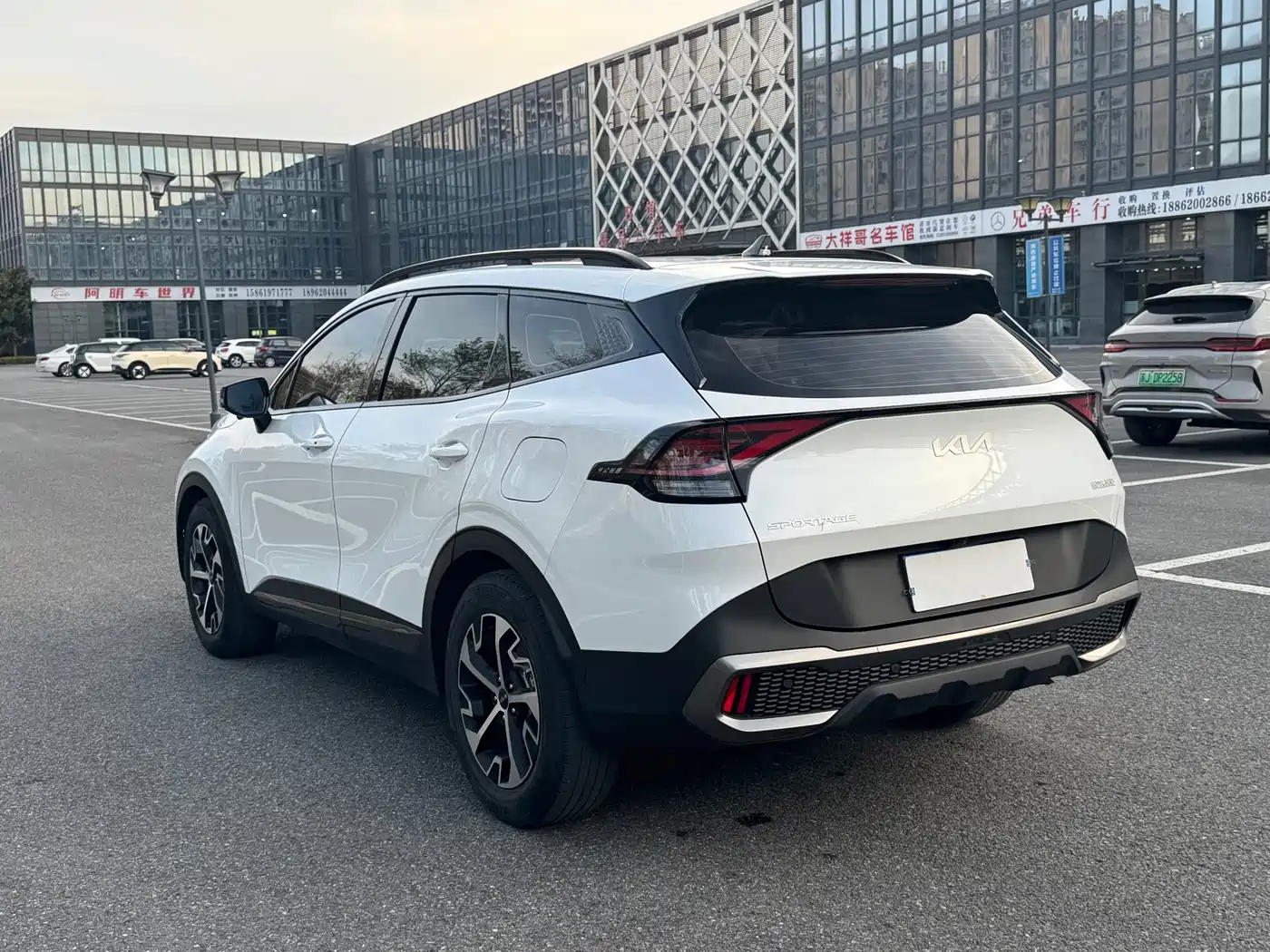 KIA LION PLATINUM EXPANDS THE WORLD