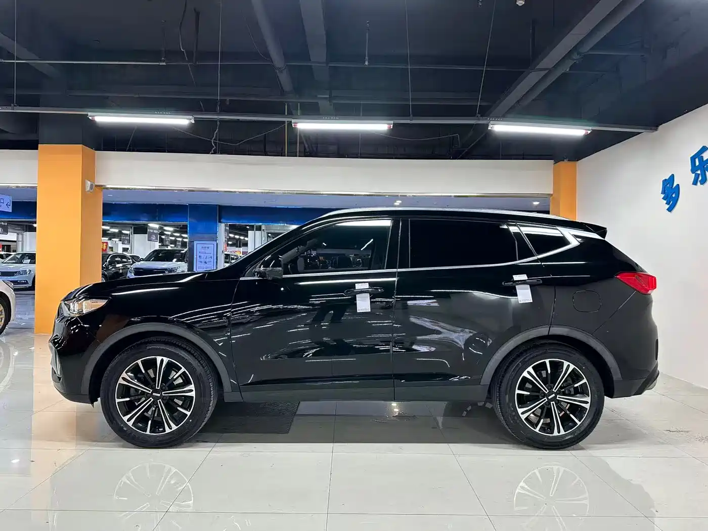 WEI PAI WEI BRAND VV6