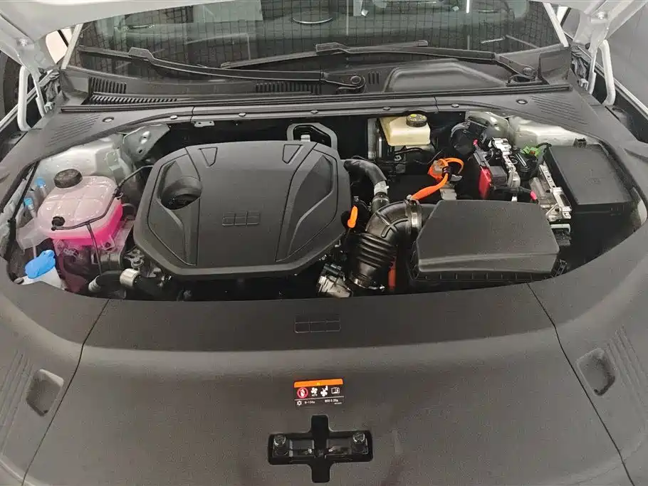 Geely Galaxy Galaxy Xingyao 8 2025 60km EM-i Luxury Edition фото 10