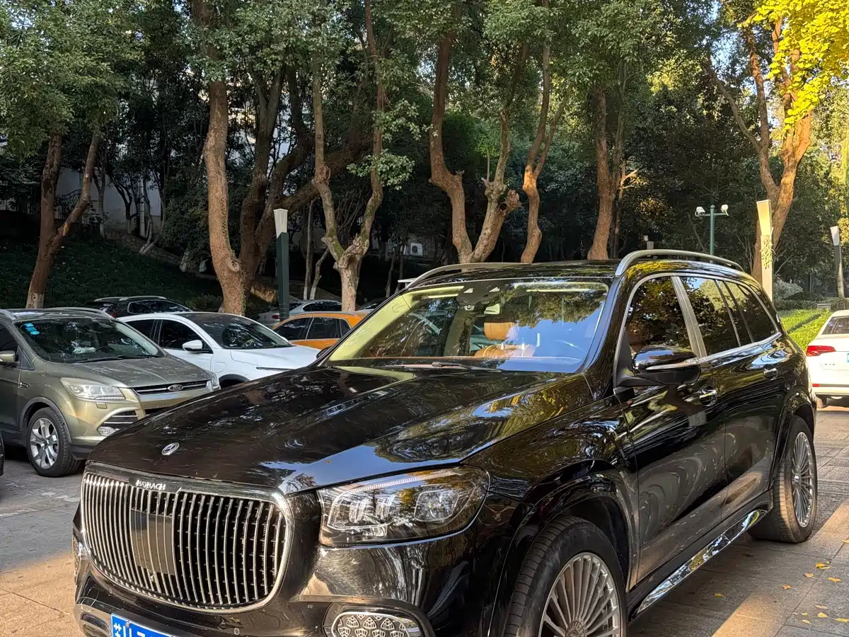 Mercedes-Benz GLS 2023 GLS 450 4MATIC Luxury Edition фото 2