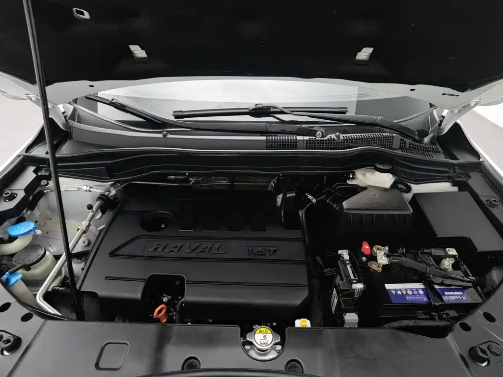 صورة 6 - Haval H6