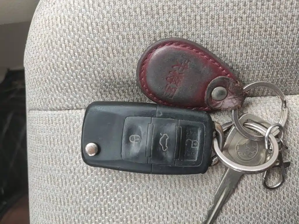 Venucia D50 2015 2013 1.6L Auto Fashion