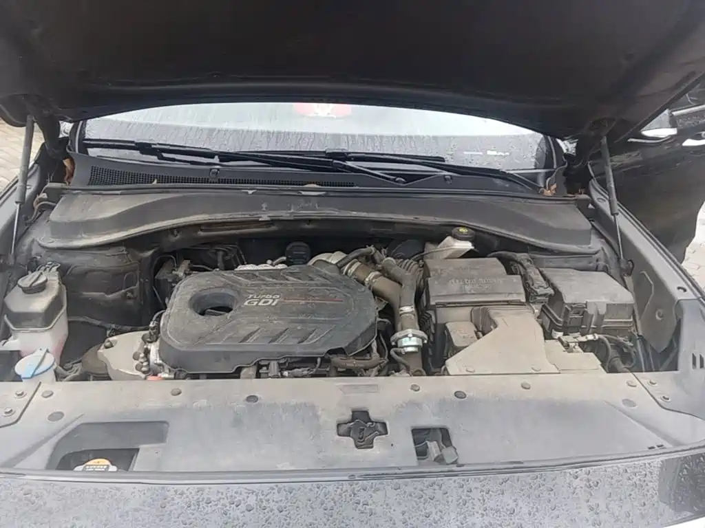 Hyundai Santa Fe 2022 2020 380 TGDi Auto 2WD DLX Premium PLUS