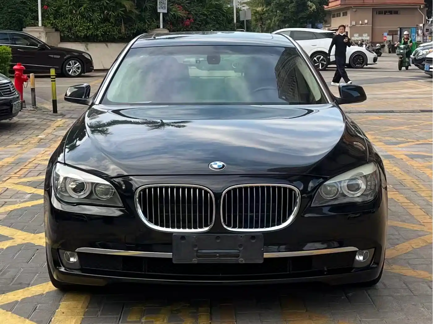 BMW 7 Series 2009 730Li Luxury фото 2