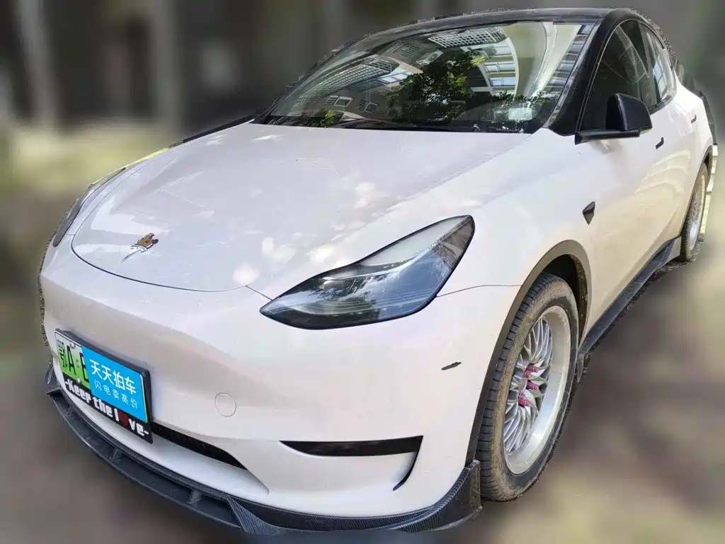 Tesla Model Y 2022 Rear-Wheel Drive Version
