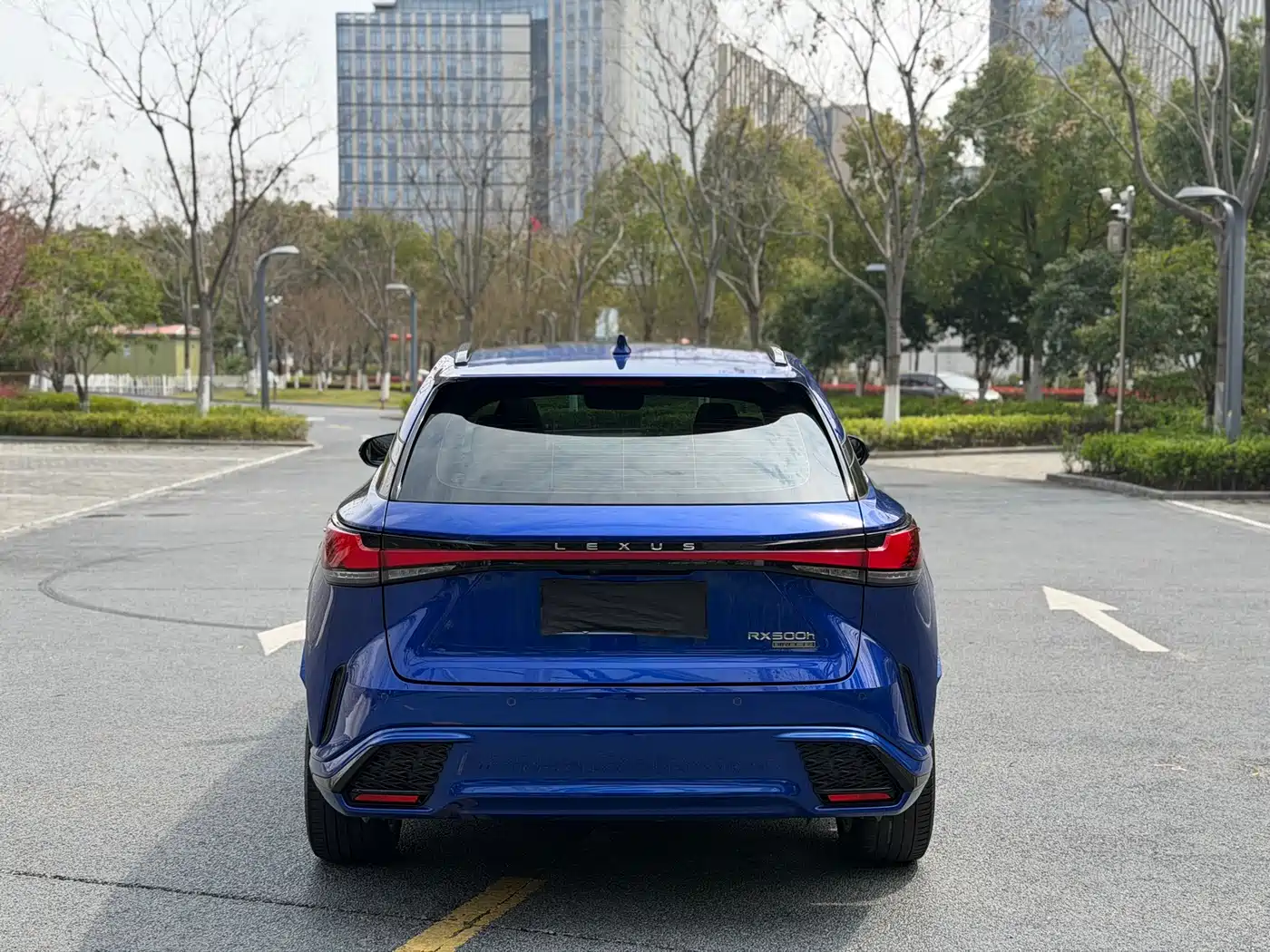 LEXUS RX