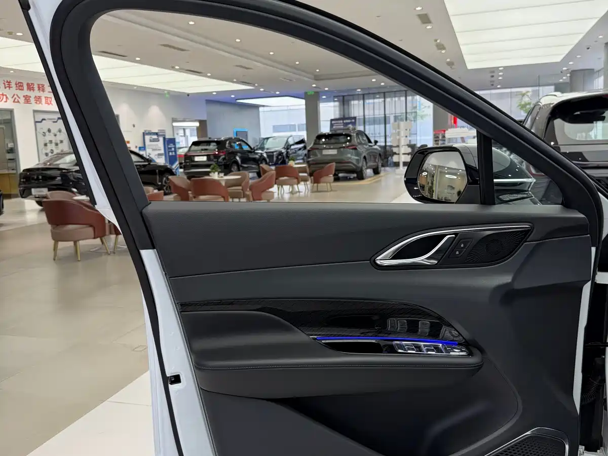 Hongqi HS3 PHEV 2024 PHEV 115km Power Edition фото 8