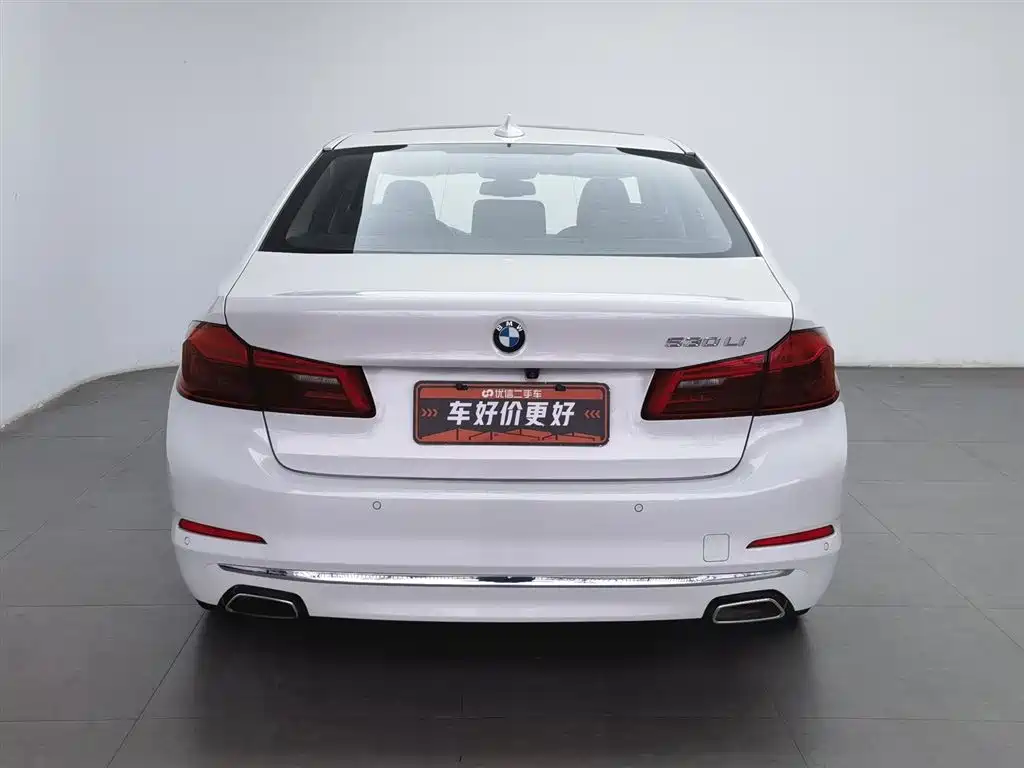 BMW 5 Series 2020 530Li Leading Luxury Package фото 4