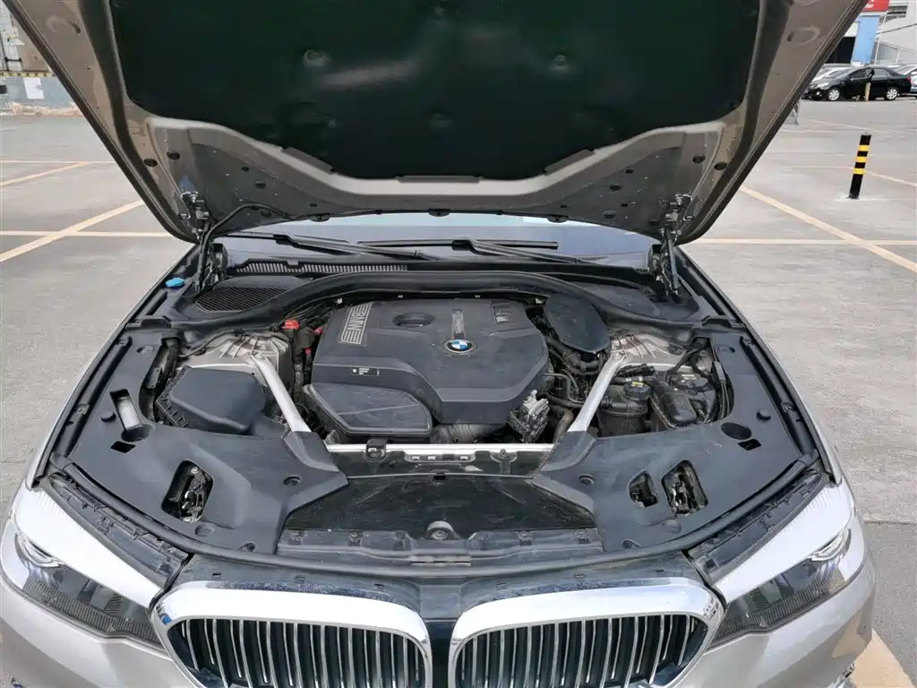 BMW 5 Series 2019 525Li Luxury Package фото 16
