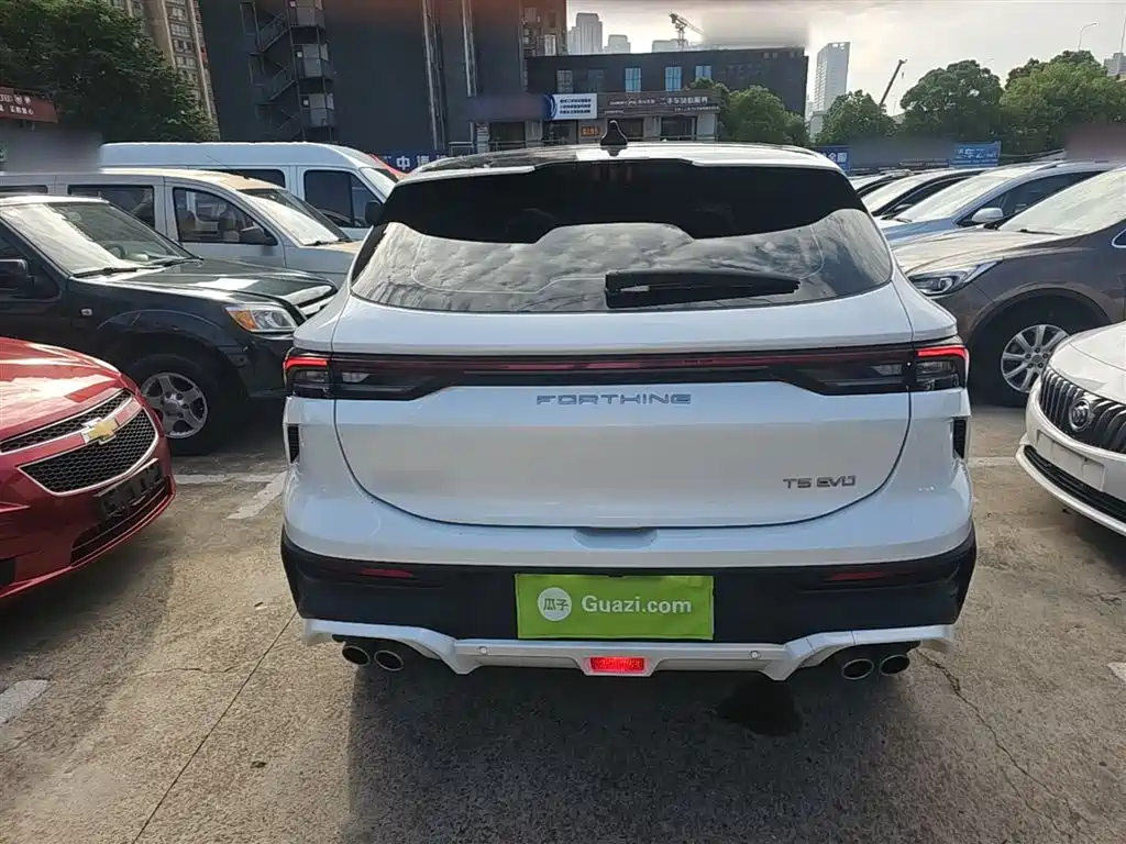 صورة 6 - Dongfeng Fengxing Fengxing T5 EVO