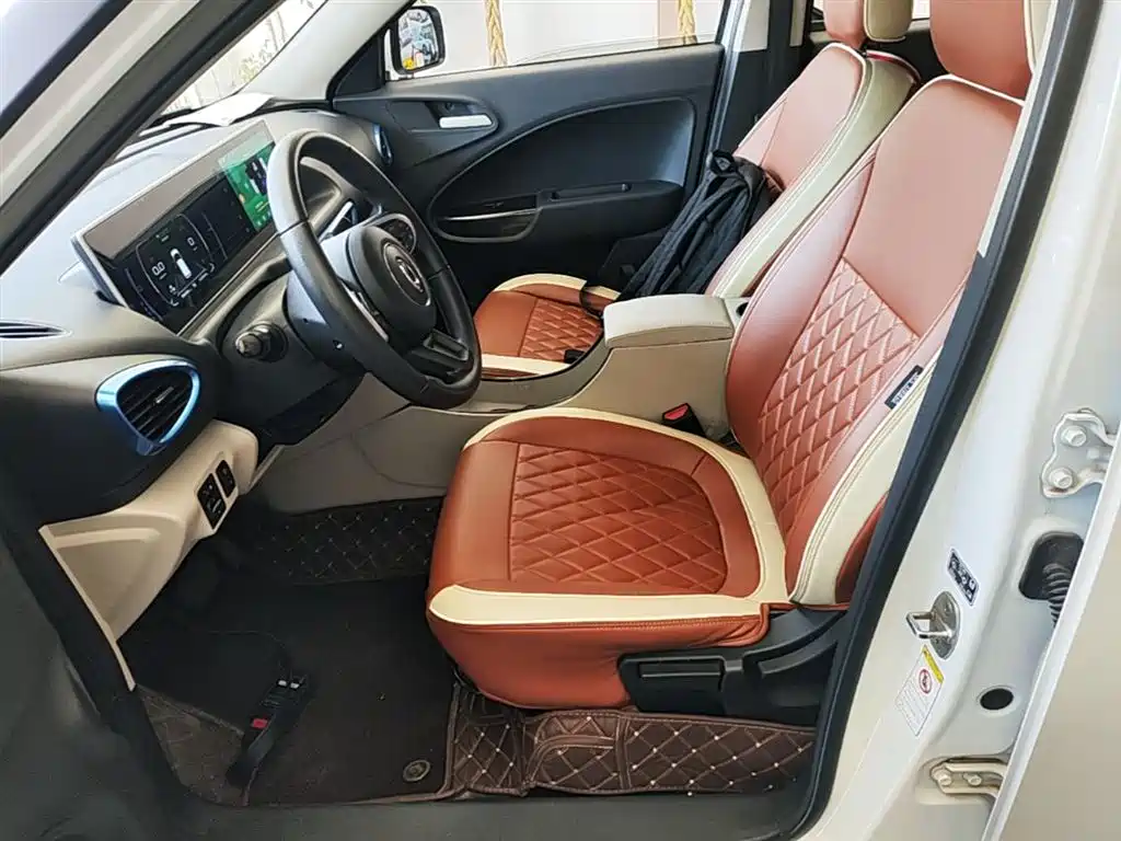 Ora White Cat 2021 2020 305km Luxury