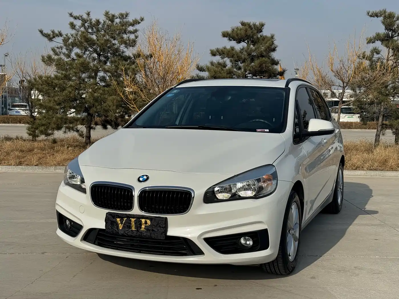 BMW 2 Series Touring 2016 218i Fashion Model