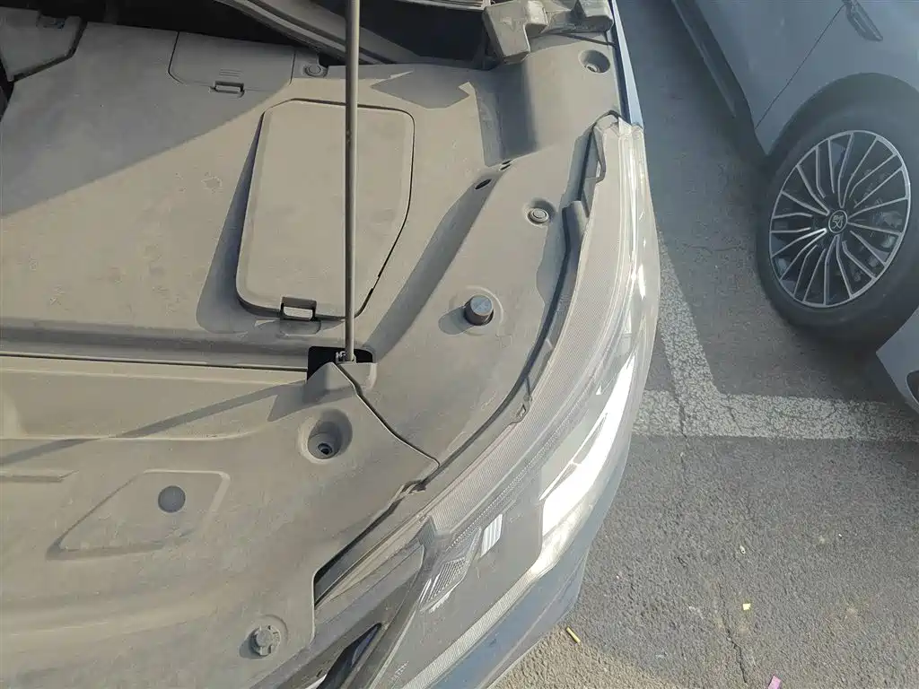 SAIC Maxus Maxus G50 2019 1.5T First Edition Automatic Luxury 6-Seater фото 22