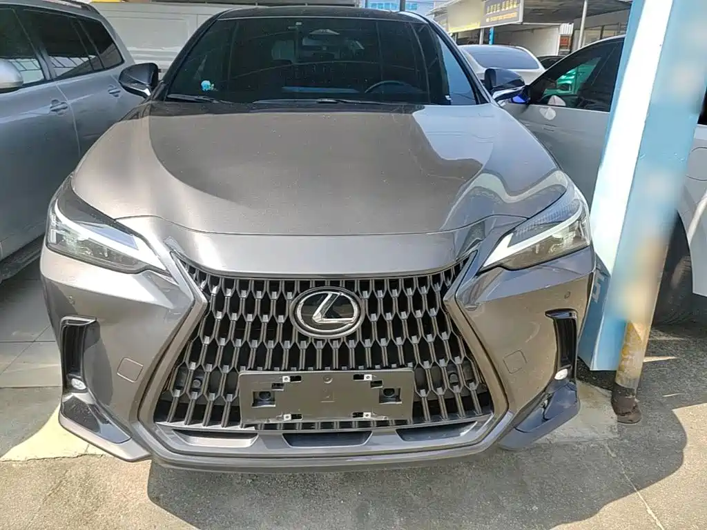Lexus NX 2024 2024 350h FWD Joy Creation Edition
