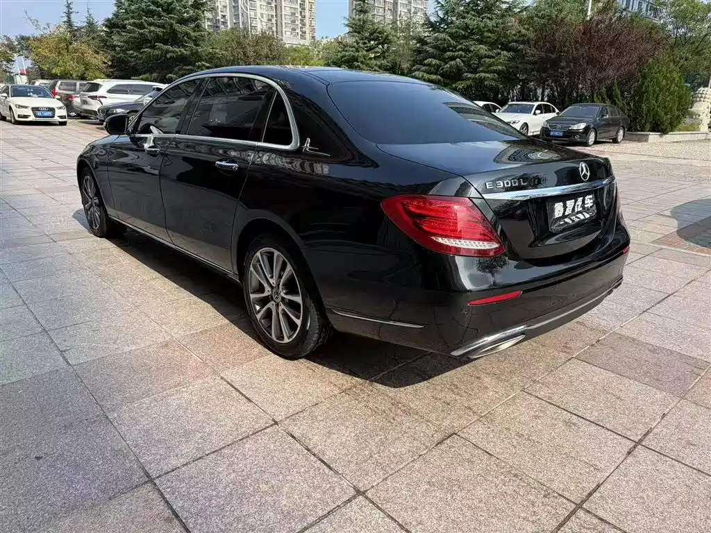 Mercedes-Benz E-Class 2018 E 300 L Luxury фото 6